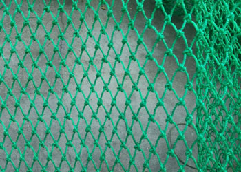 Twisted Polyethylene Netting